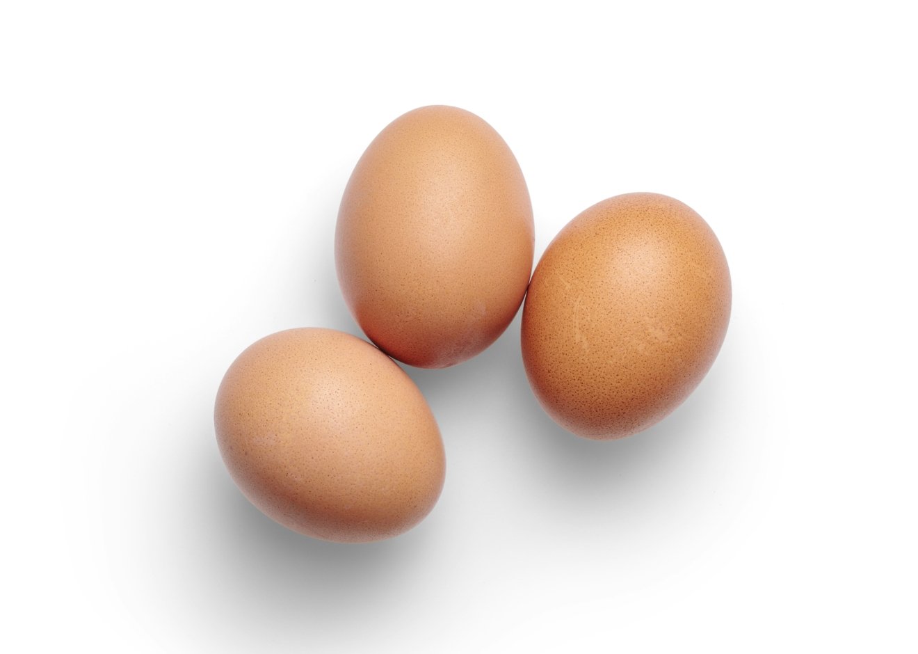 eggs