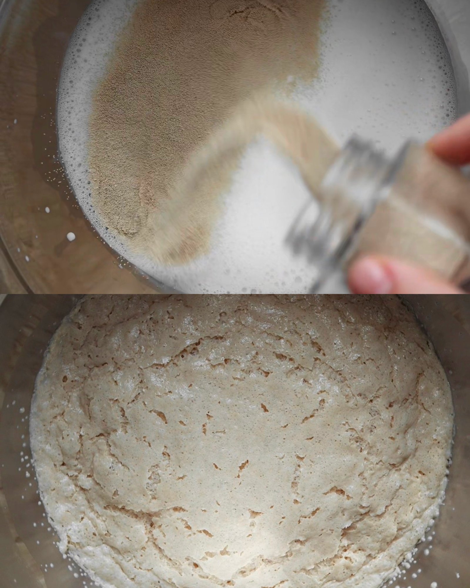 yeast